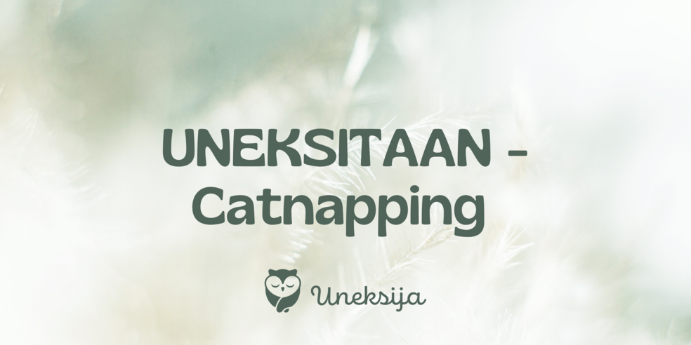 Catnapping - lyhyet päiväunet by Uniohjaamo Uneksija Oy